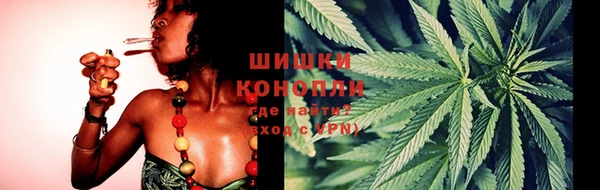 гидра Арсеньев