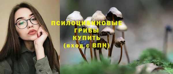 бошки Аркадак