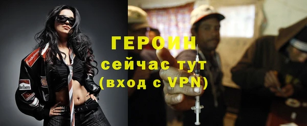 гидра Арсеньев