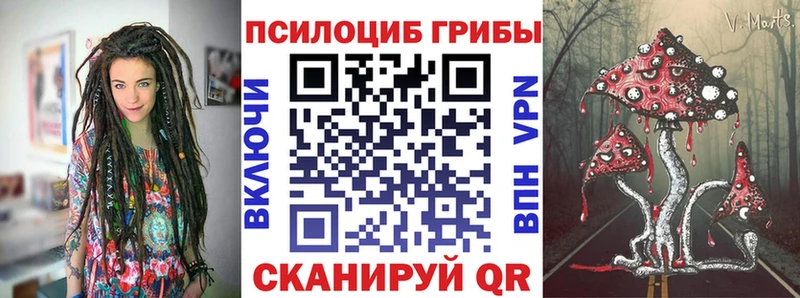 купить наркотик  Аткарск  Псилоцибиновые грибы прущие грибы 